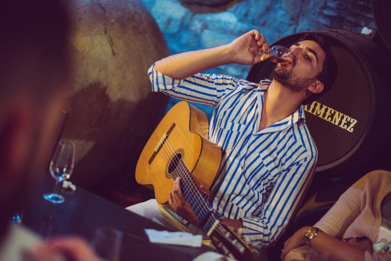 flamenco inside guitar real hosted experience in spain andalusia